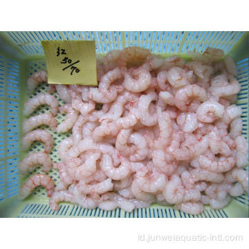 bahan baku udang merah